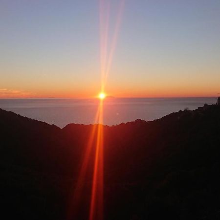 A Tana Di A Volpe Daire Ville-di-Pietrabugno Dış mekan fotoğraf