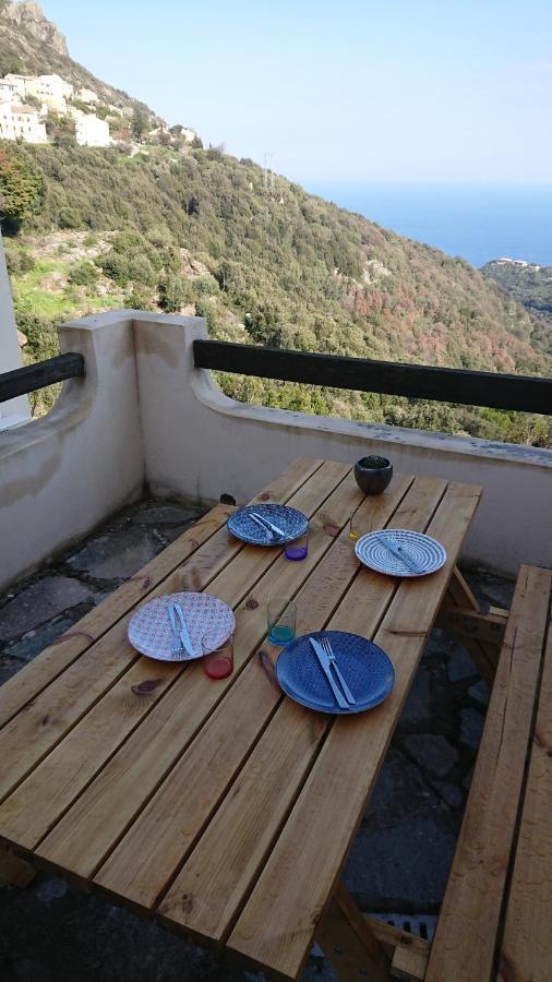 A Tana Di A Volpe Daire Ville-di-Pietrabugno Dış mekan fotoğraf
