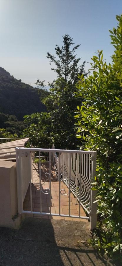 A Tana Di A Volpe Daire Ville-di-Pietrabugno Dış mekan fotoğraf